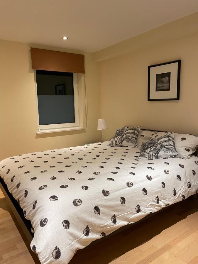 Modern Apartment In Central London By River Thames Екстериор снимка