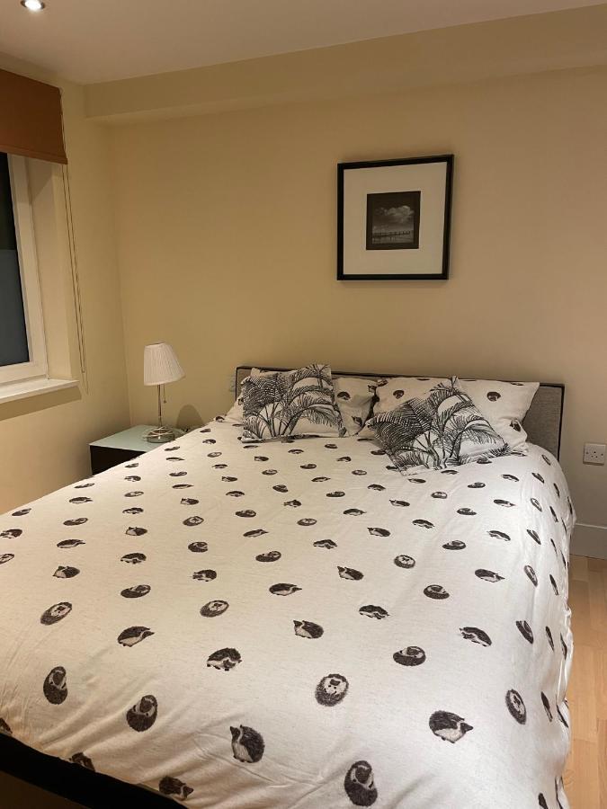 Modern Apartment In Central London By River Thames Екстериор снимка